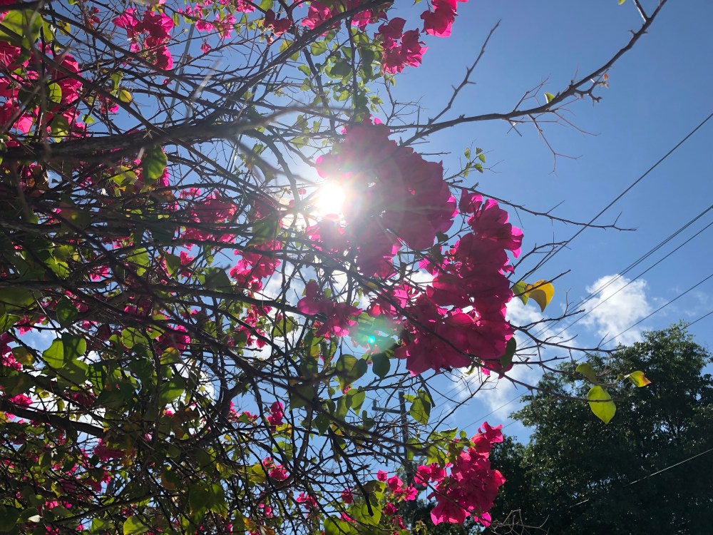 2u3JwUmlSCy9gJ3qGxX7vA