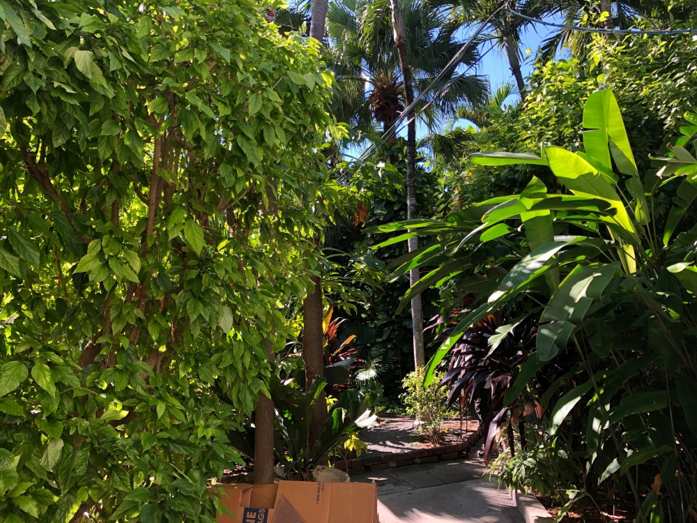 MZSB0ZMfQMuw%FqafIztNQ